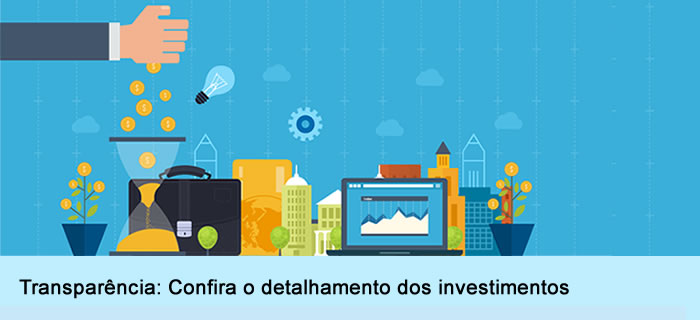 Detalhamento dos investimentos